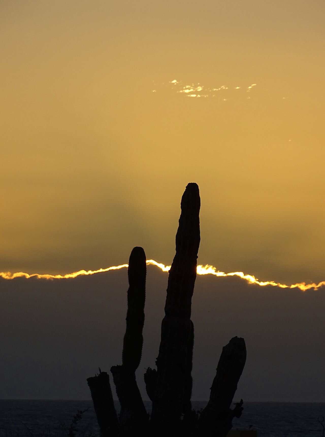 Pacific coast near Todos Santos, Baja California Sur